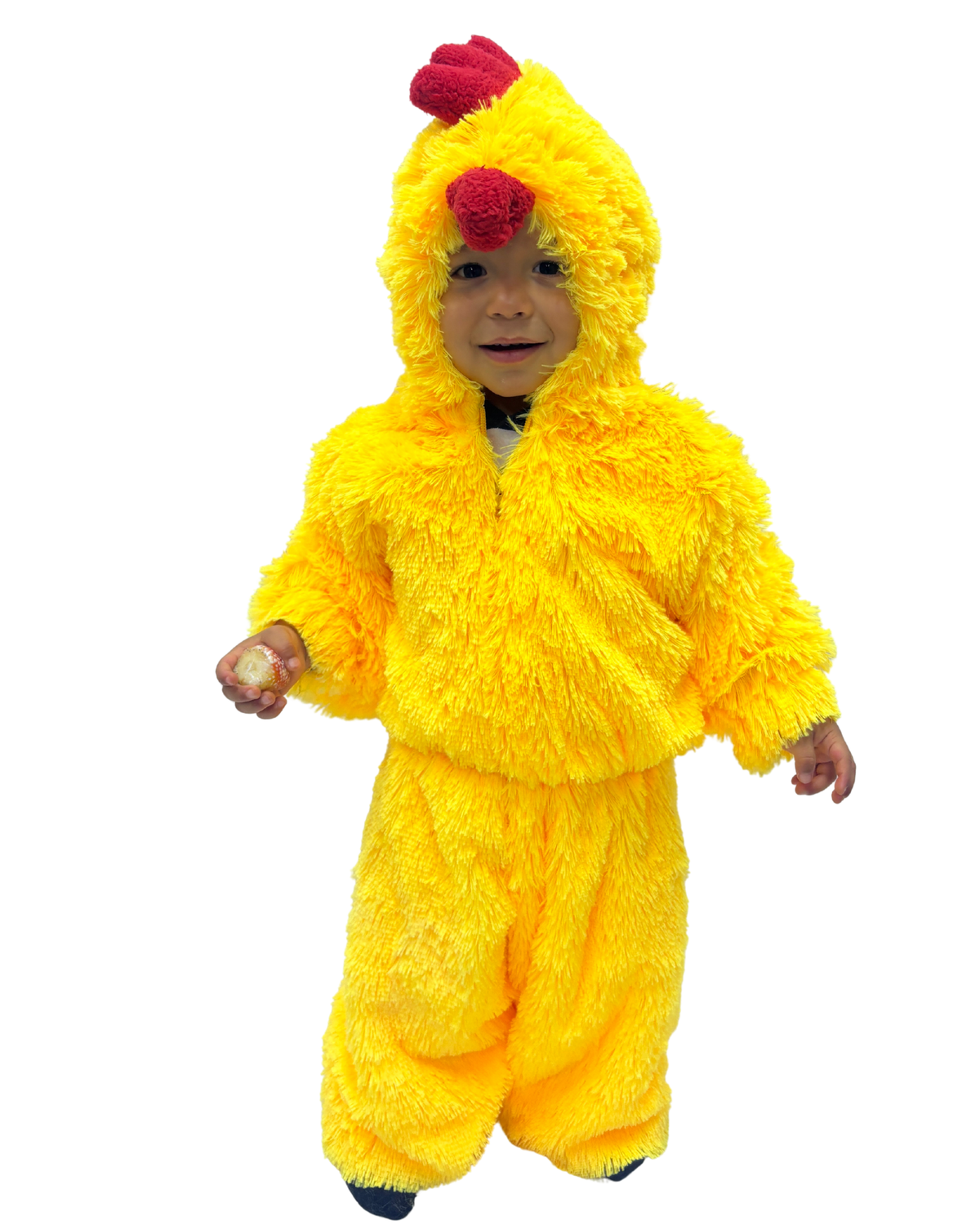POLLITO
