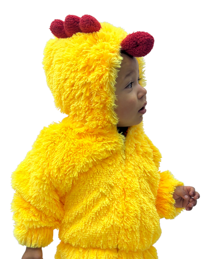 POLLITO