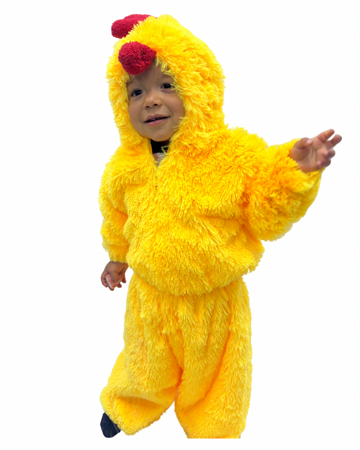 POLLITO