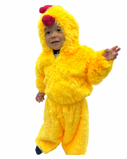 POLLITO