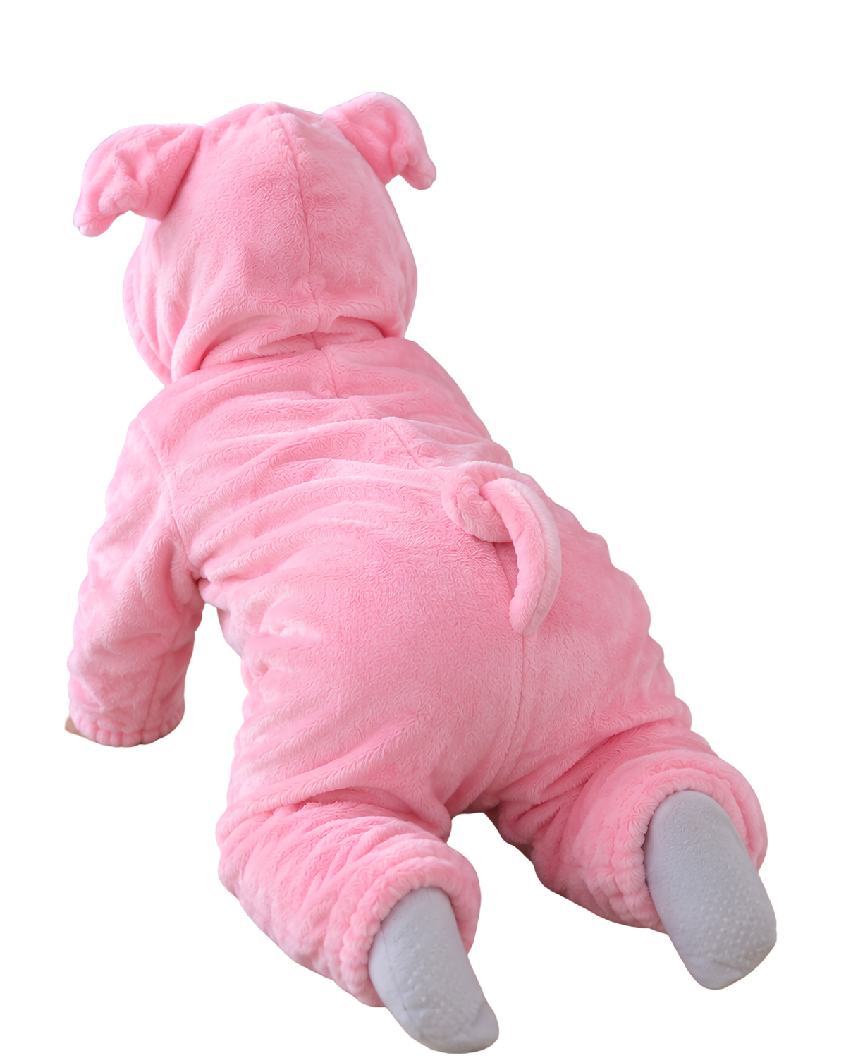 CERDITO BEBÉ