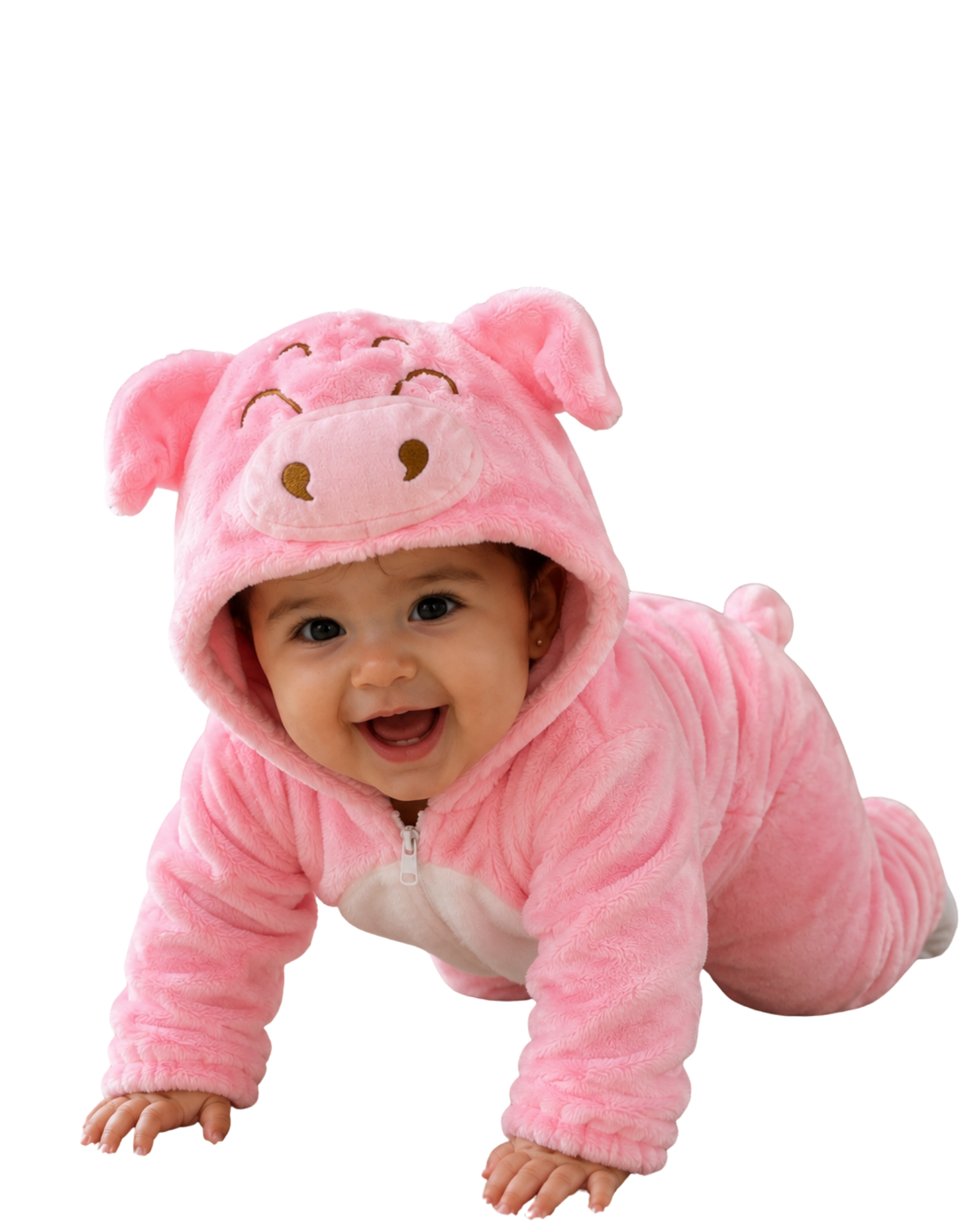 CERDITO BEBÉ